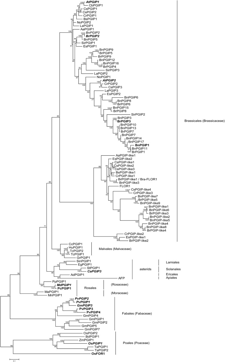 FIGURE 2