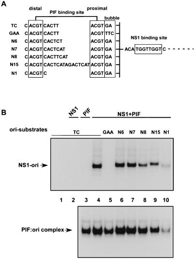 FIG. 6