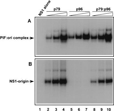 FIG. 7