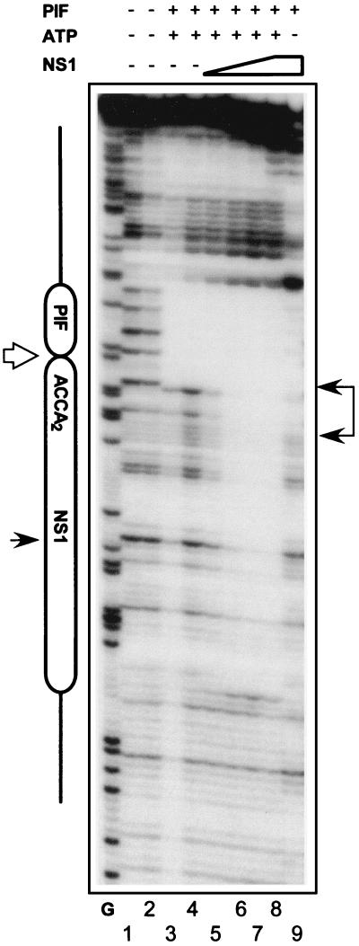 FIG. 5