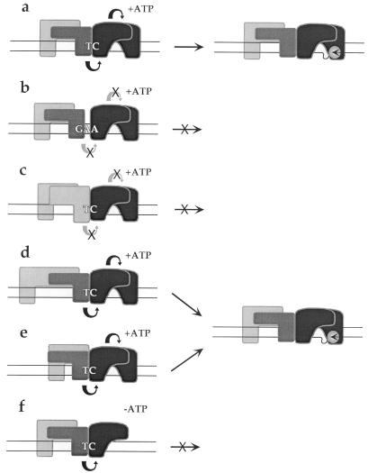 FIG. 8