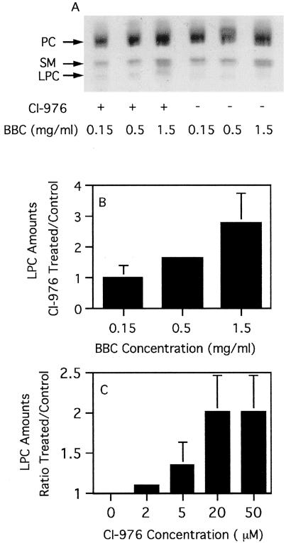 Figure 9.