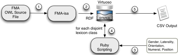 Figure 5: