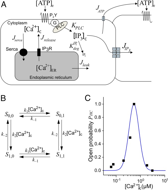 Fig. 1.