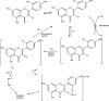 Scheme 3