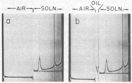 graphic file with name pnas00150-0320-c.jpg