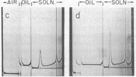 graphic file with name pnas00150-0320-d.jpg