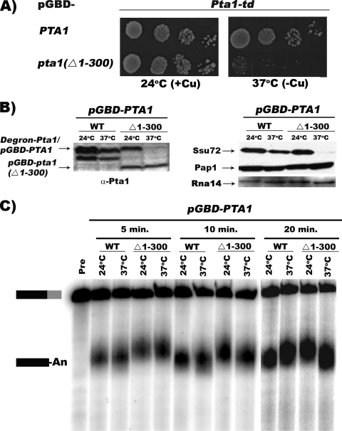 FIG. 5.