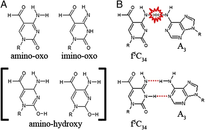 Fig. 4.