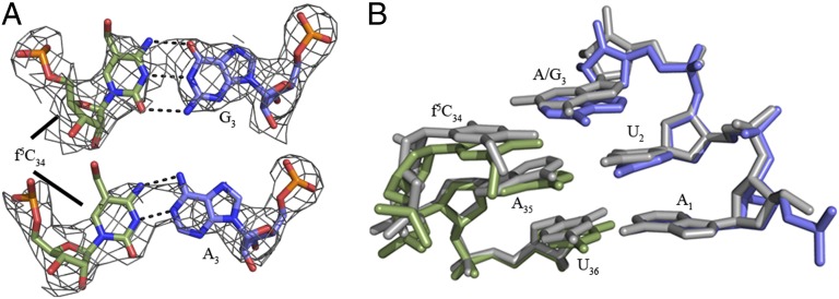 Fig. 3.