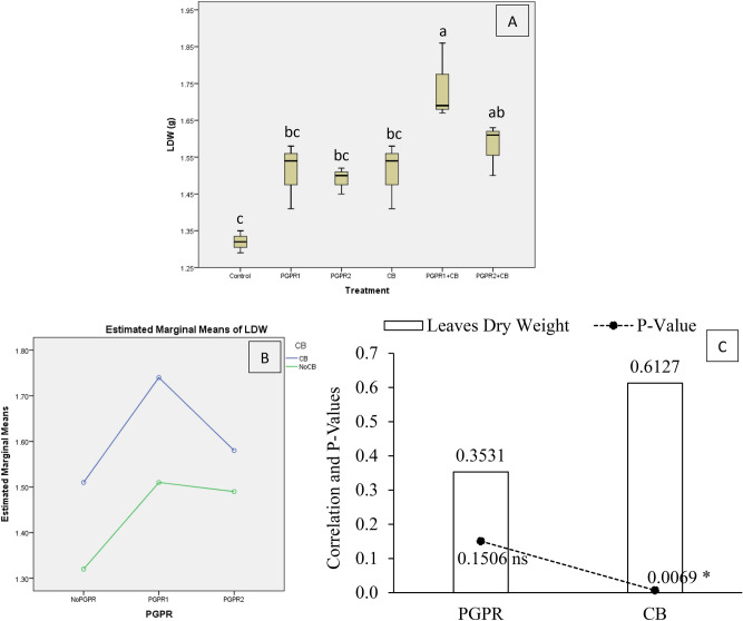 Figure 10