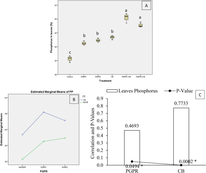 Figure 13