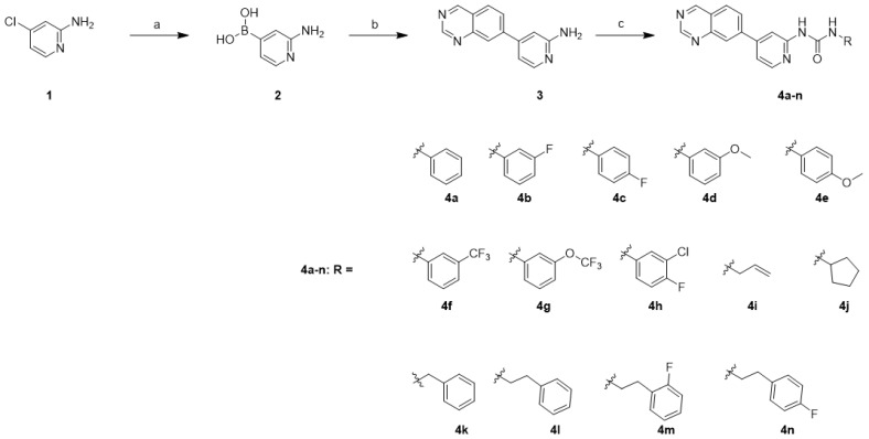 Scheme 1