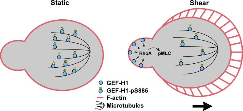 Figure 9.