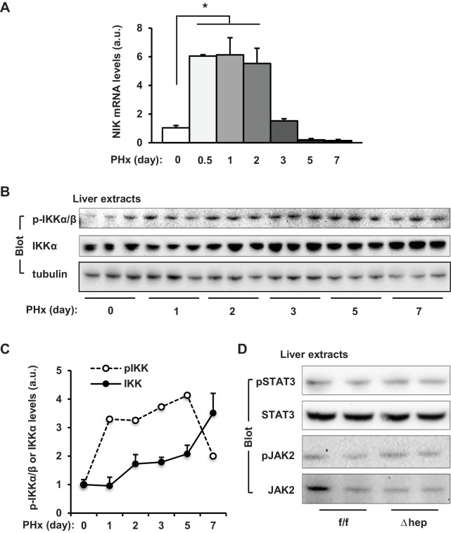 Figure 2—figure supplement 1.