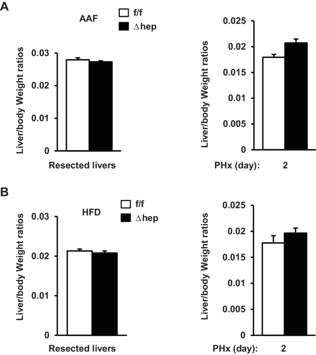 Figure 6—figure supplement 1.