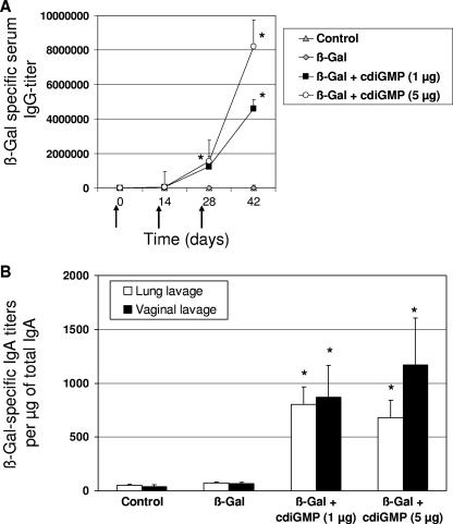 FIG. 1.