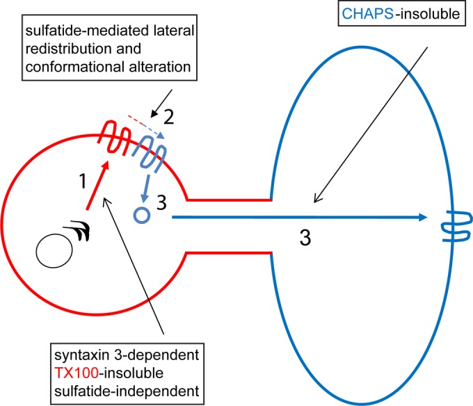 FIG 8