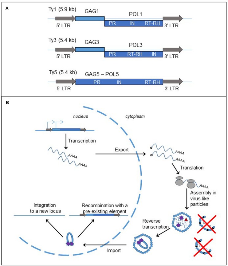 FIGURE 2