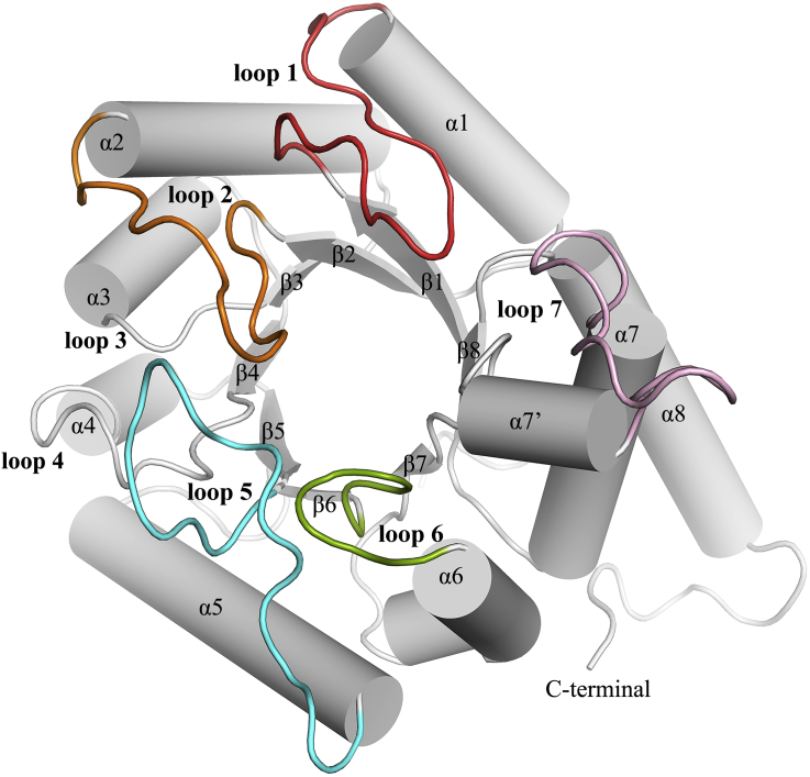 Figure 5