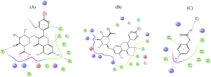 Figure 11