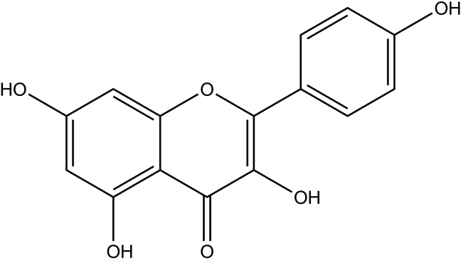 Figure 1