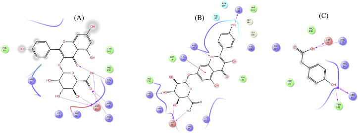 Figure 13