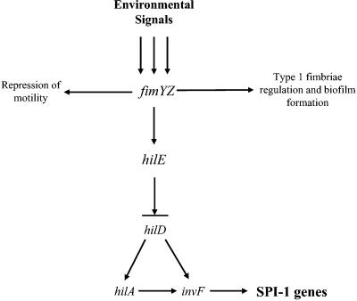 FIG. 8.