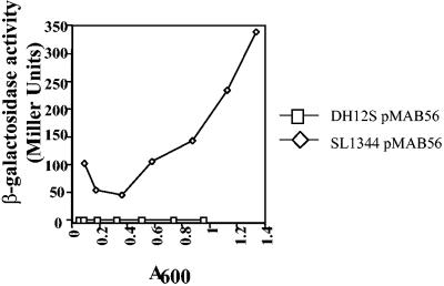 FIG. 1.