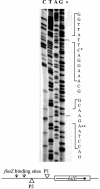 FIG. 7.