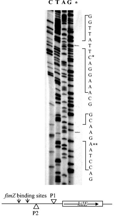 FIG. 7.