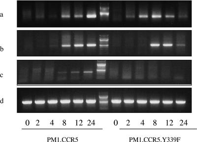 FIG. 6.