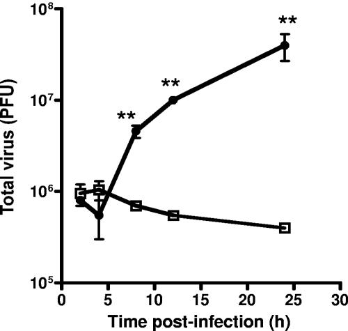 FIG. 5.