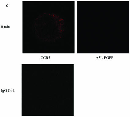 FIG.9.