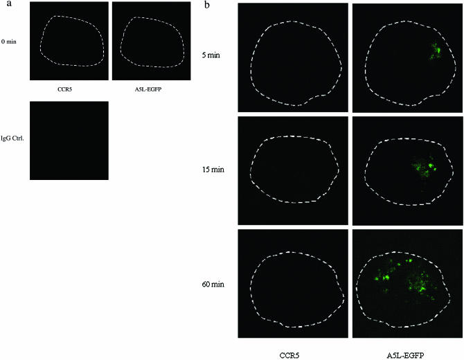 FIG.9.