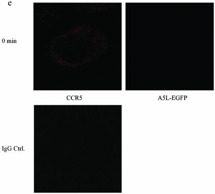 FIG.9.