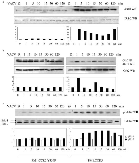 FIG. 8.