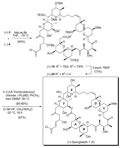 Scheme 6