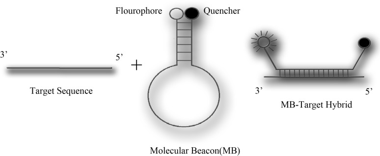 Fig. 1