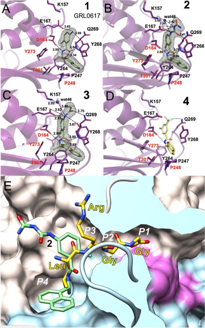 Fig. 4