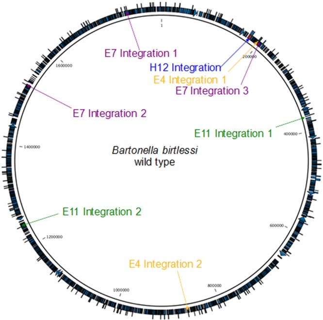 FIG 1 