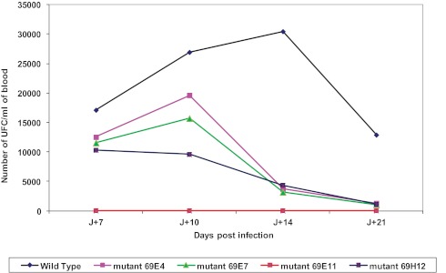 FIG 3 