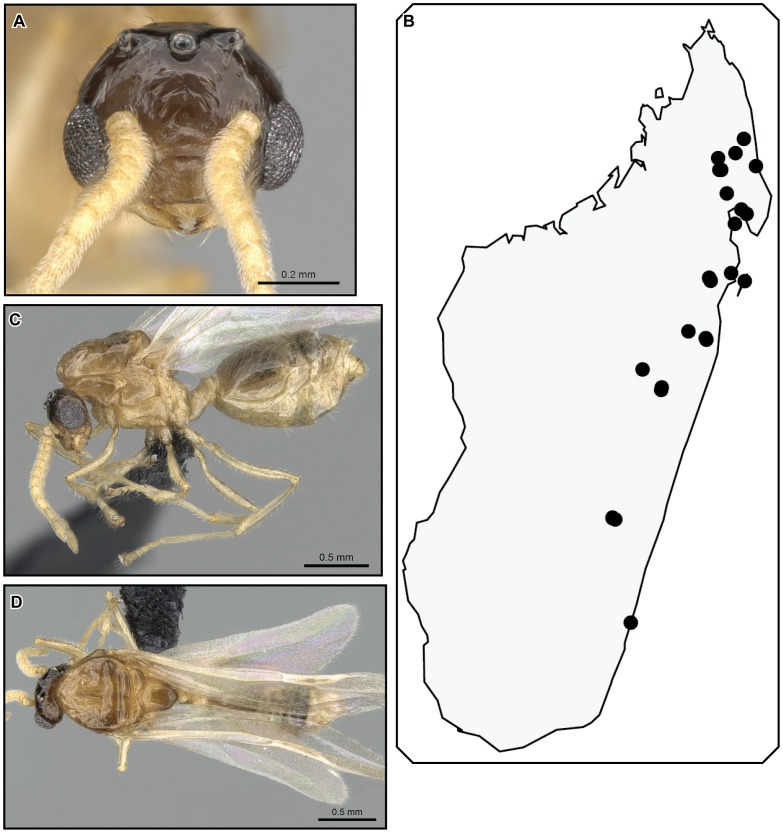 Figure 27