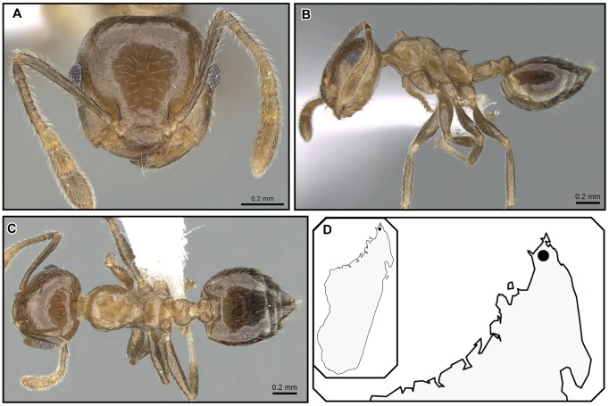 Figure 25