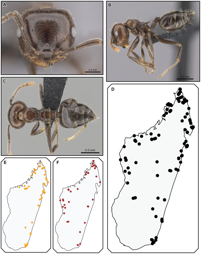 Figure 21