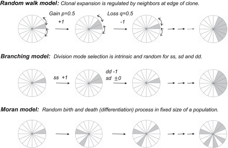 Fig. 10.