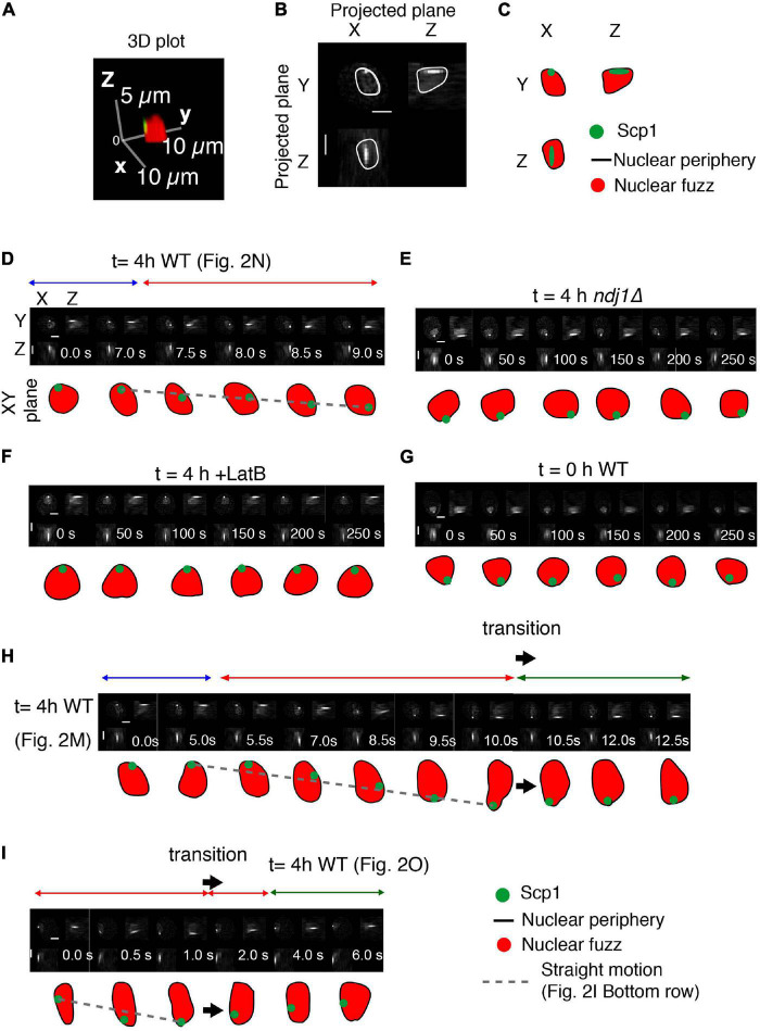 FIGURE 3