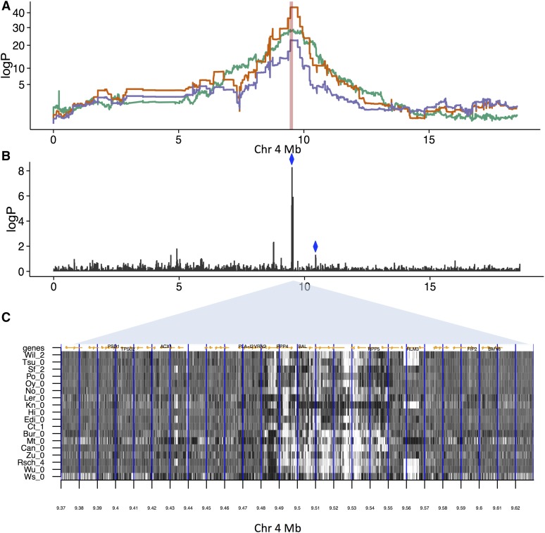 Figure 6