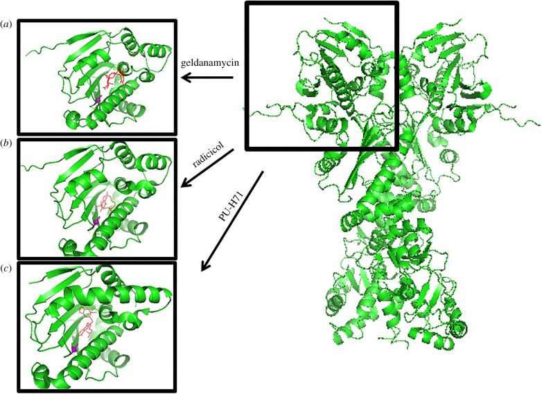 Figure 1.