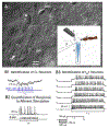 Fig.1.